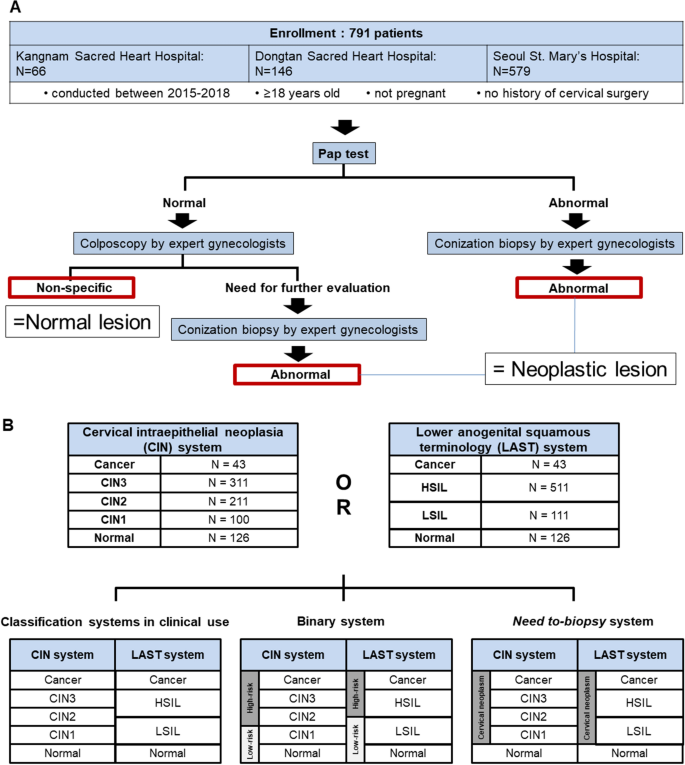 Classification of cervical neoplasms on colposcopic photography using deep  learning | Scientific Reports