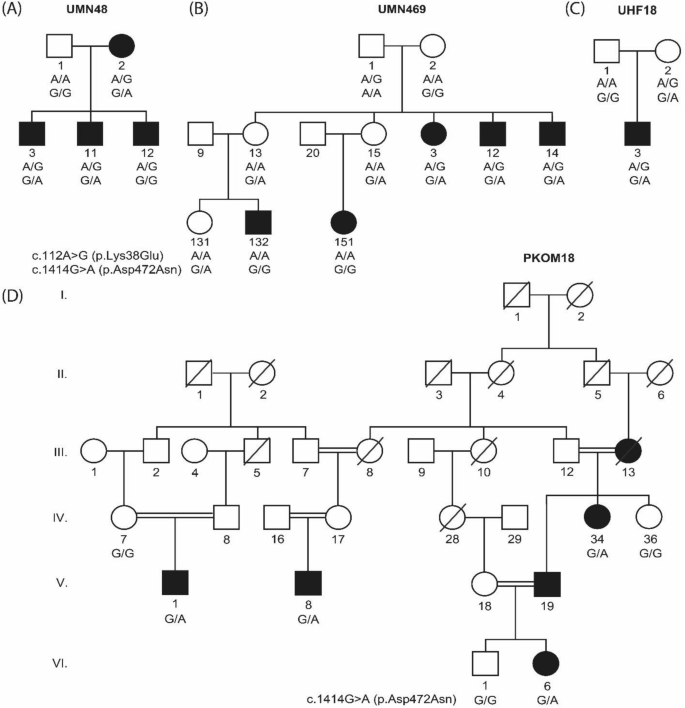 Multi Omic Studies On Missense Plg Variants In Families With Otitis Media Scientific Reports Multi Omic Studies On Missense Plg Variants In Families With Otitis Media Scientific Reports