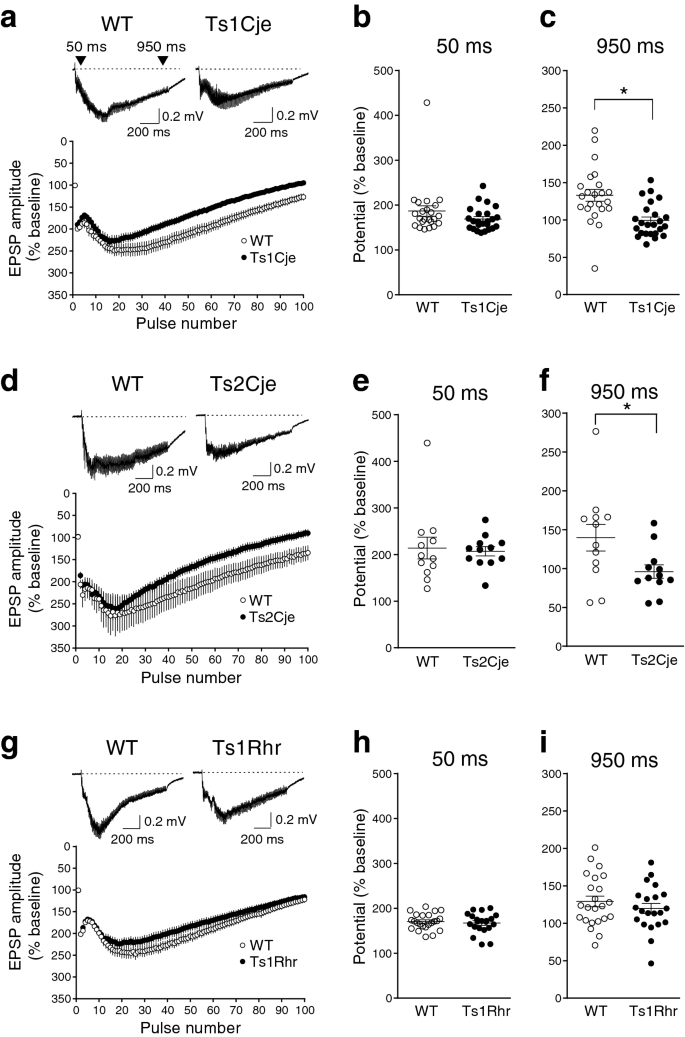 Impairment Of Spatial Memory Accuracy Improved By Cbr1 Copy Number Resumption And Gaba B Receptor Dependent Enhancement Of Synaptic Inhibition In Down Syndrome Model Mice Scientific Reports