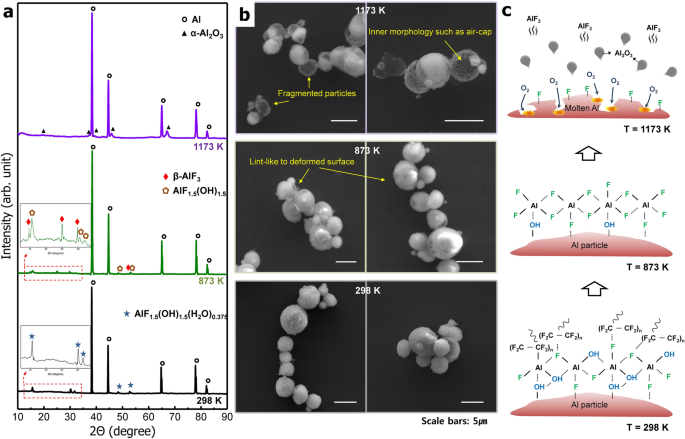 Synergetic enhancement in the reactivity and stability of surface-oxide-free  fine Al particles covered with a polytetrafluoroethylene nanolayer |  Scientific Reports