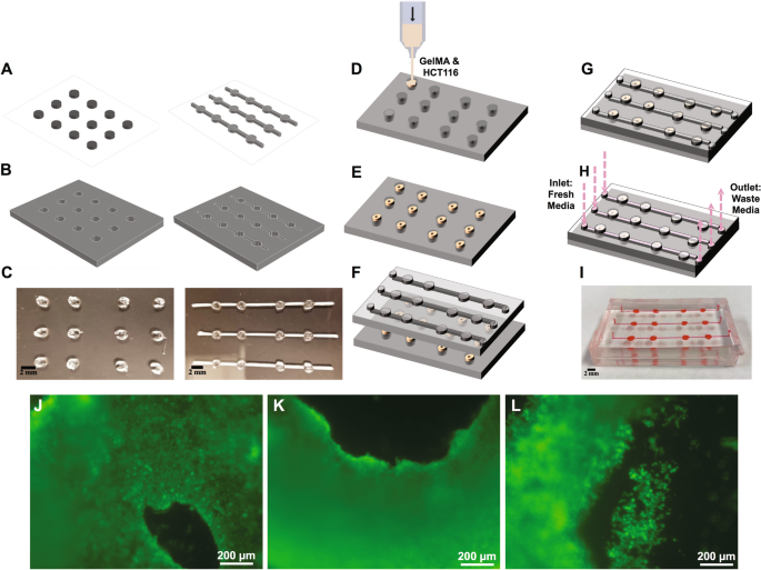 3D-bioprinted all-inclusive bioanalytical platforms for cell studies | Scientific Reports