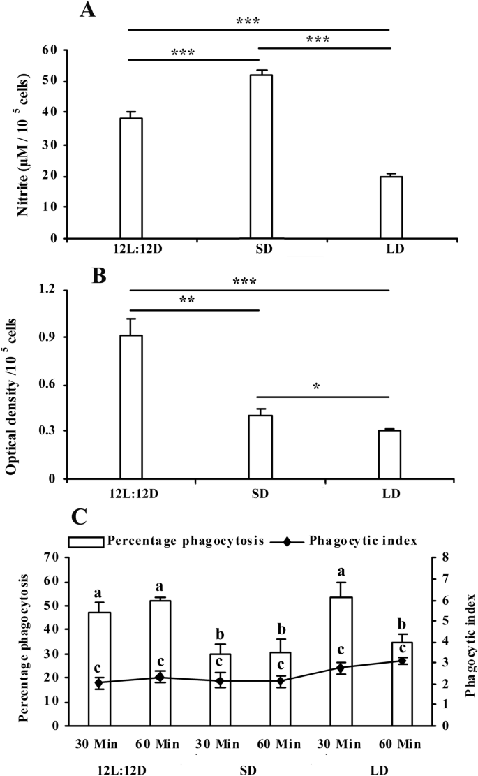 figure3