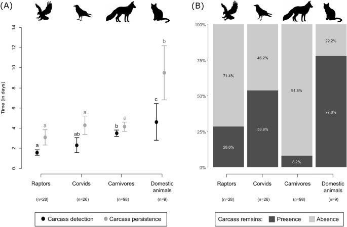 Response of vertebrate scavengers to power line and road rights-of-way and  its implications for bird fatality estimates | Scientific Reports