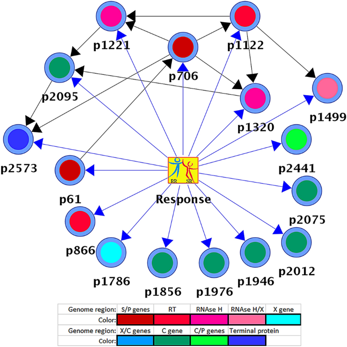 Complex Genetic Encoding Of The Hepatitis B Virus On Drug Persistence Scientific Reports