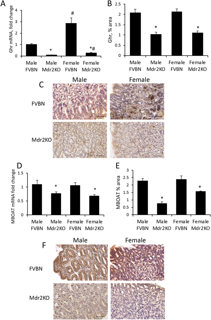 figure2