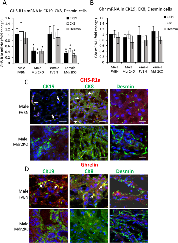 figure3