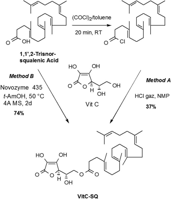 Vitamin C–squalene bioconjugate promotes epidermal thickening and collagen  production in human skin | Scientific Reports