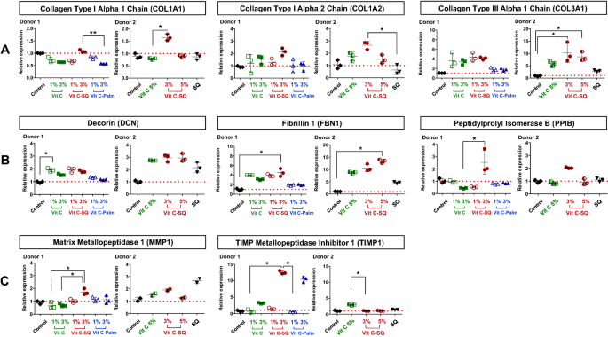 Vitamin C Squalene Bioconjugate Promotes Epidermal Thickening And Collagen Production In Human Skin Scientific Reports