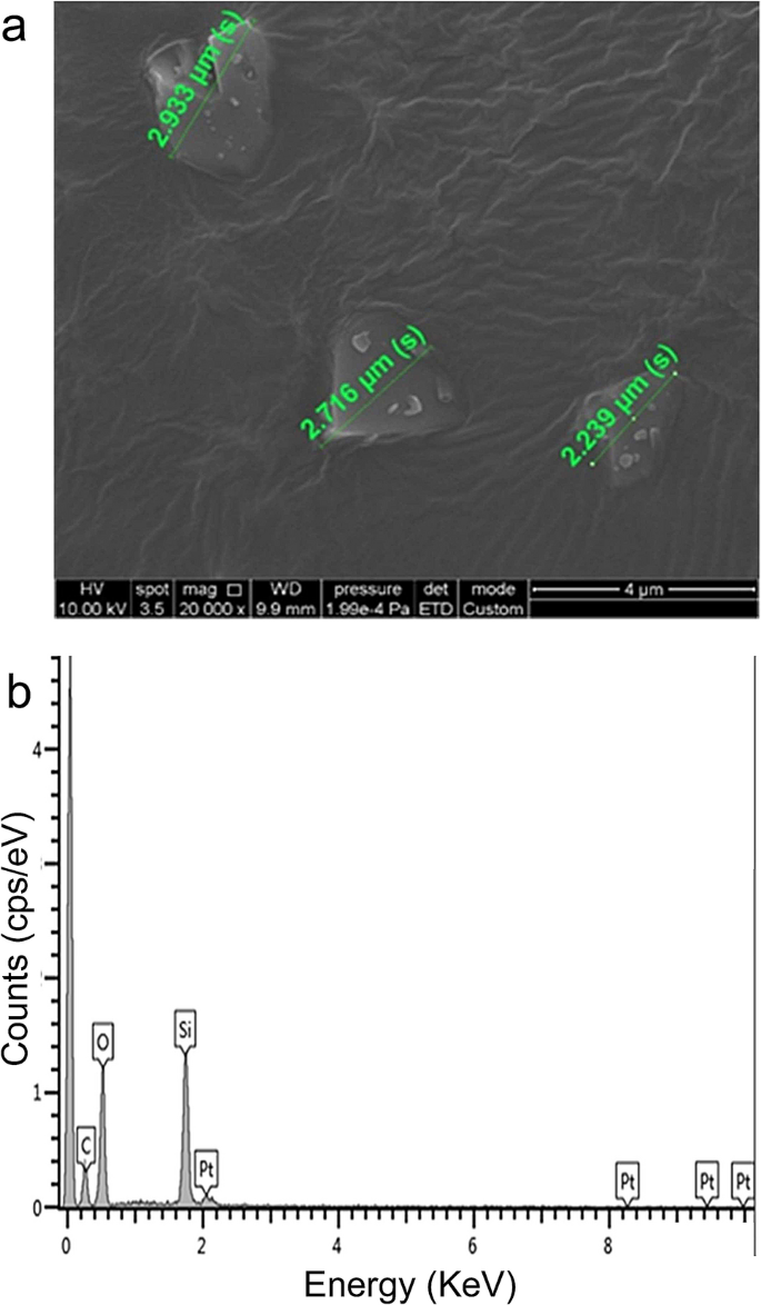 A Novel Lung Alveolar Cell Model For Exploring Volatile Biomarkers Of Particle Induced Lung Injury Scientific Reports