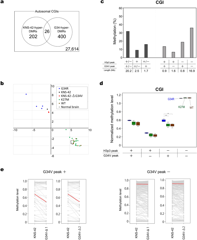 Base Resolution Methylomes Of Gliomas Bearing Histone H3 3 Mutations Reveal A G34 Mutant Specific Signature Shared With Bone Tumors Scientific Reports