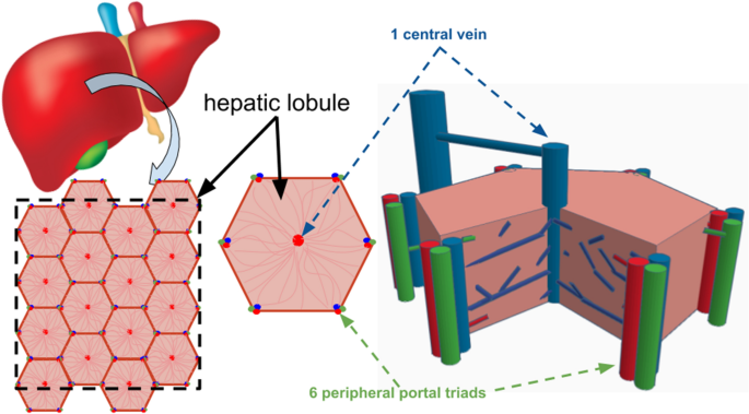 figure4