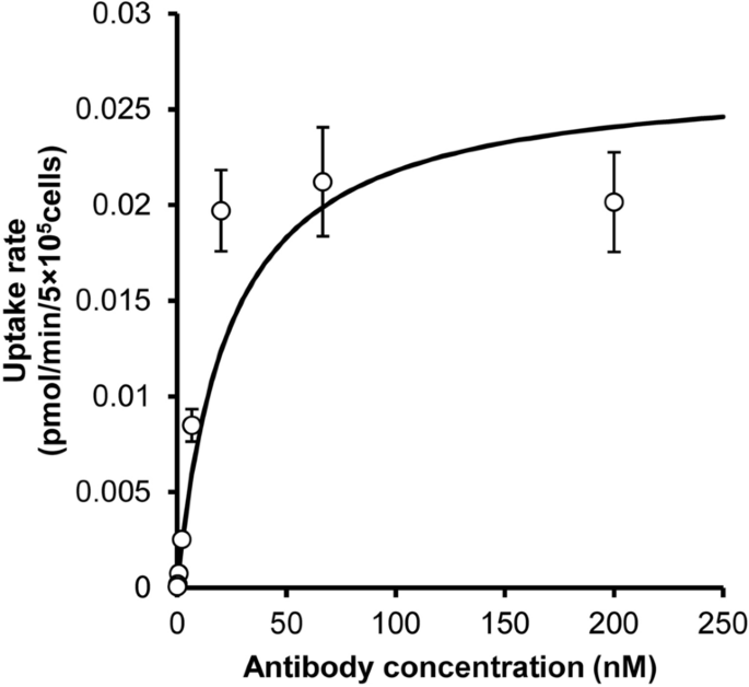 Pharmacokinetic Prediction Of An Antibody In Mice Based On An In Vitro Cell Based Approach Using Target Receptor Expressing Cells Scientific Reports
