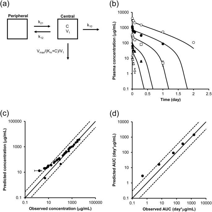 Pharmacokinetic Prediction Of An Antibody In Mice Based On An In Vitro Cell Based Approach Using Target Receptor Expressing Cells Scientific Reports