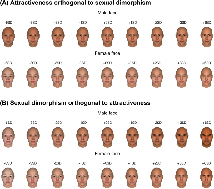 A New Data Driven Mathematical Model Dissociates Attractiveness From Sexual Dimorphism Of Human Faces Scientific Reports