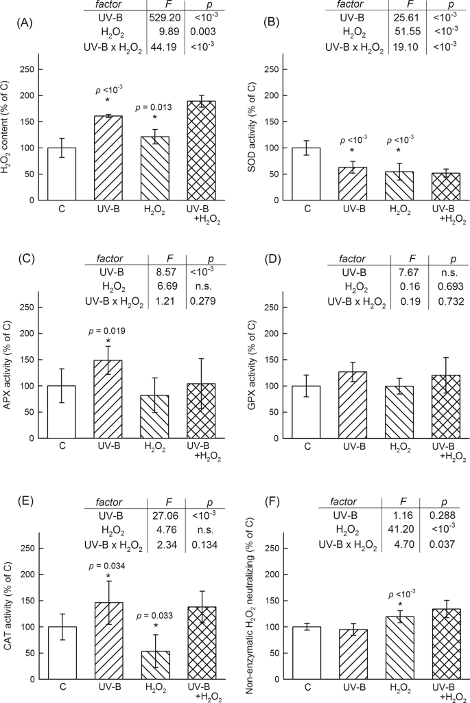 Ultraviolet B Acclimation Is Supported By Functionally Heterogeneous Phenolic Peroxidases Scientific Reports