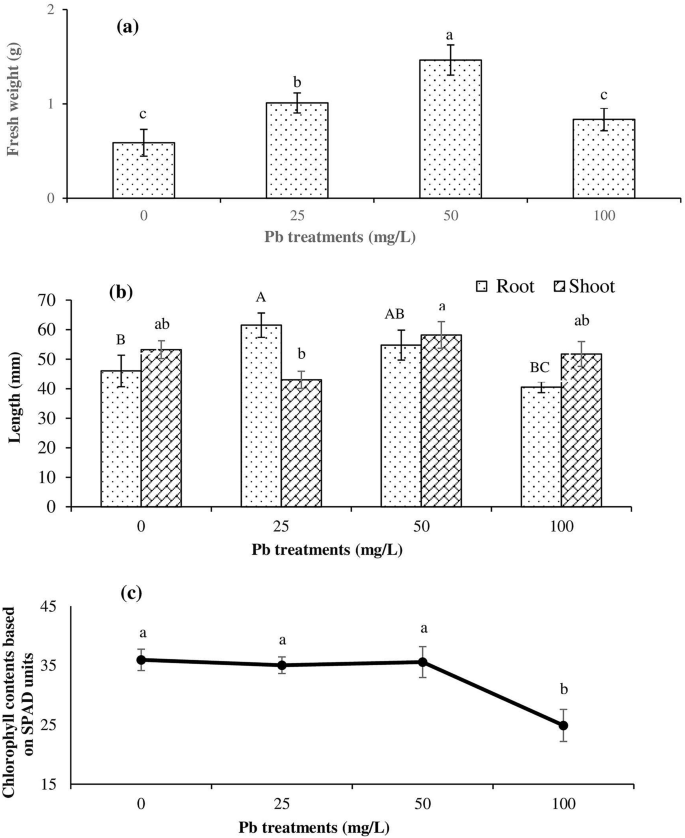 Lead Pb Bioaccumulation And Antioxidative Responses In Tetraena Qataranse Scientific Reports