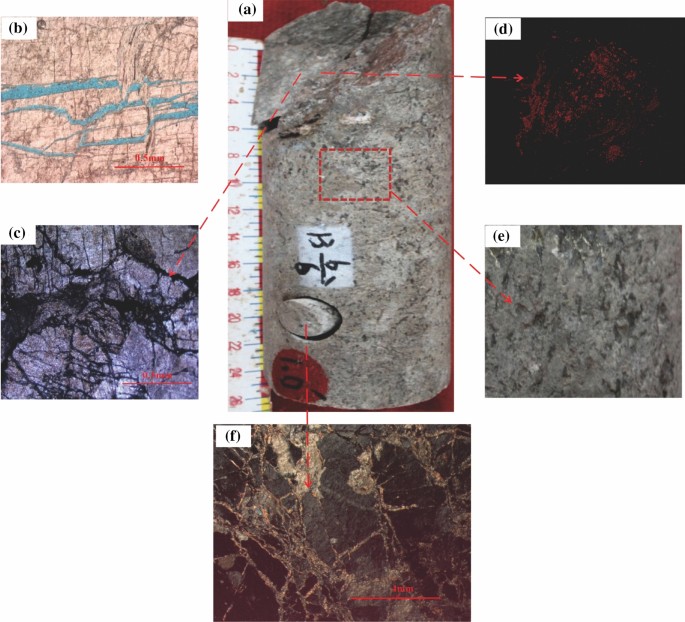 Full article: Basement differences control granitoid compositions