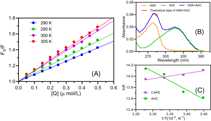 Unique Dynamic Mode Between Artepillin C And Human Serum Albumin Implies The Characteristics Of Brazilian Green Propolis Representative Bioactive Component Scientific Reports