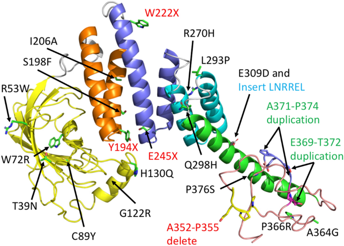Picture of AIPL1