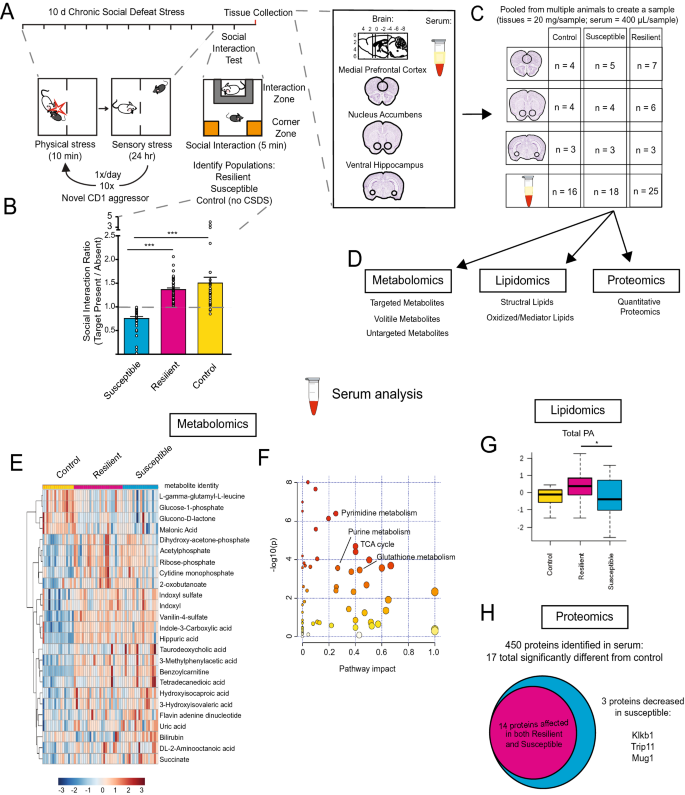 Frontiers  Experimental Social Stress: Dopaminergic Receptors, Oxidative  Stress, and c-Fos Protein Are Involved in Highly Aggressive Behavior