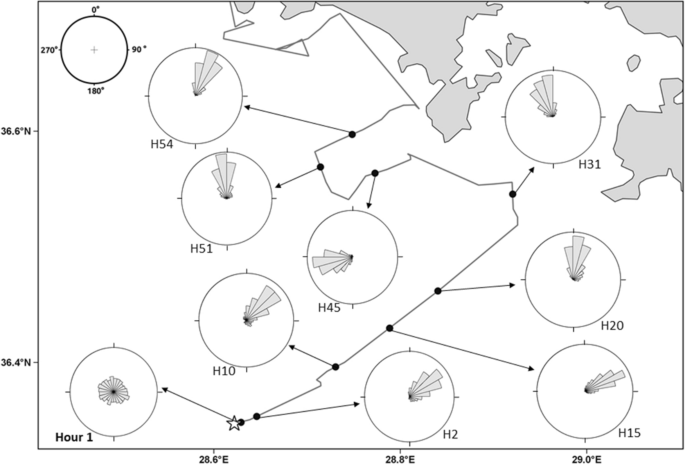 A Biphasic Navigational Strategy In Loggerhead Sea Turtles Scientific Reports