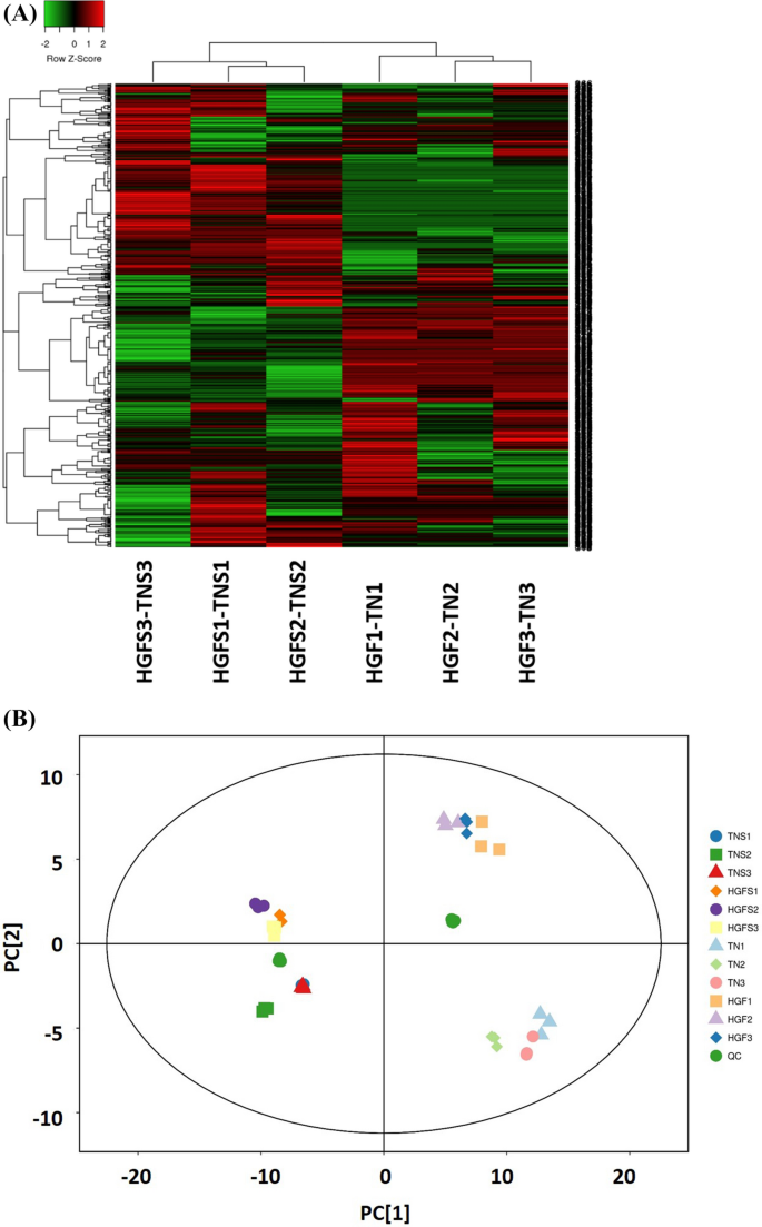 Featured image of post Easiest Way to Make Chemical Composition Of Mango (Mangifera Indica L.) Fruit Nutritional And Phytochemical Compounds