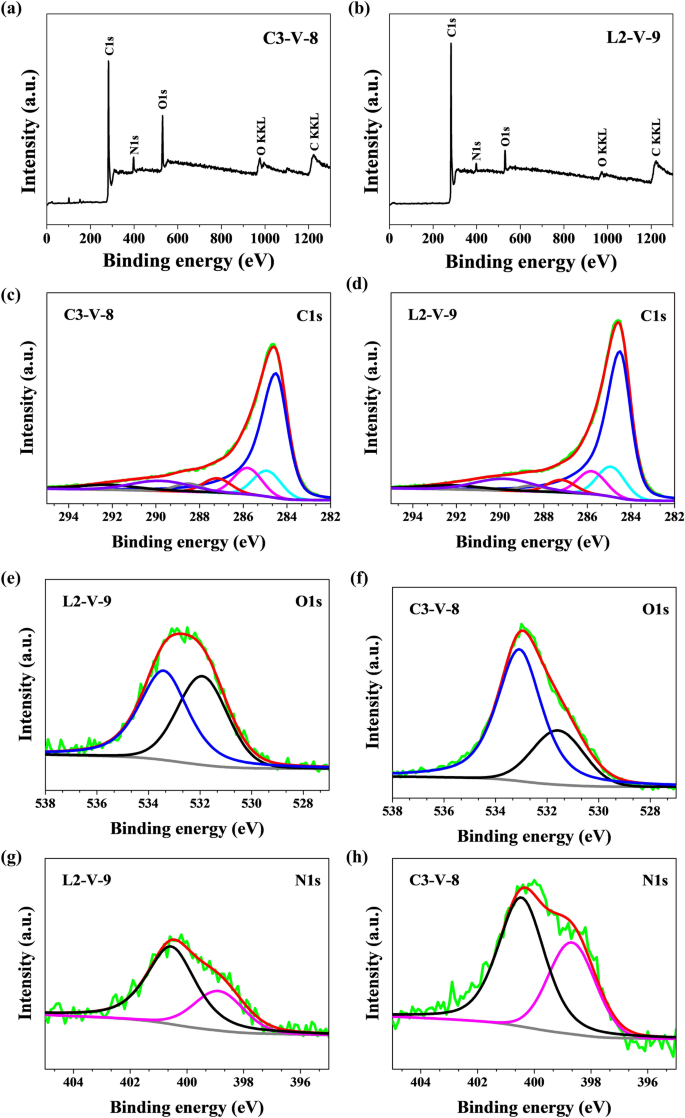 3d Hierarchical Porous Hybrid Nanostructure Of Carbon Nanotubes And N Doped Activated Carbon Scientific Reports