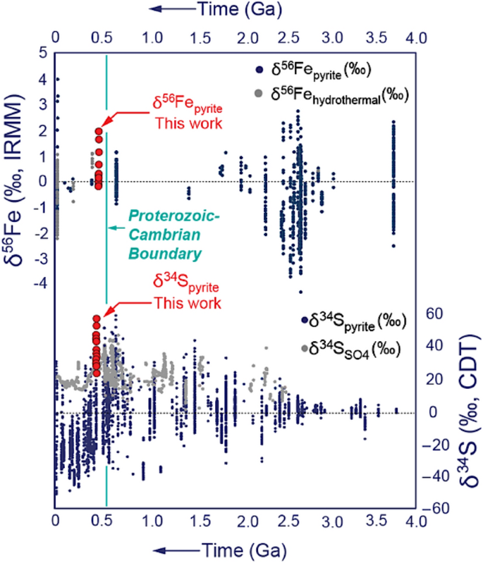 Exceptional Sulfur And Iron Isotope Enrichment In Millimetre Sized Early Palaeozoic Animal Burrows Scientific Reports