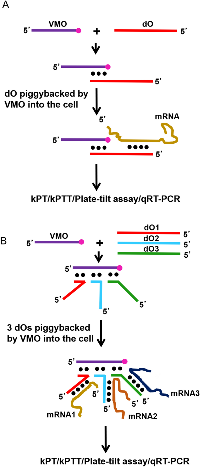 The piggyback mechanism