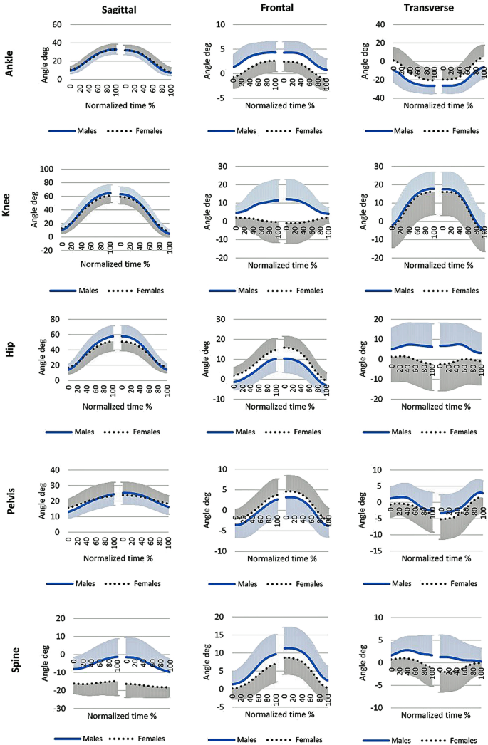 Sex-dependent differences in single-leg squat kinematics and their  relationship to squat depth in physically active individuals | Scientific  Reports