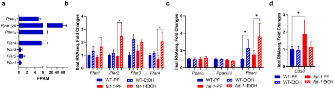 figure6