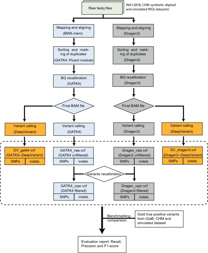 Accuracy and efficiency of germline variant calling pipelines for human  genome data | Scientific Reports