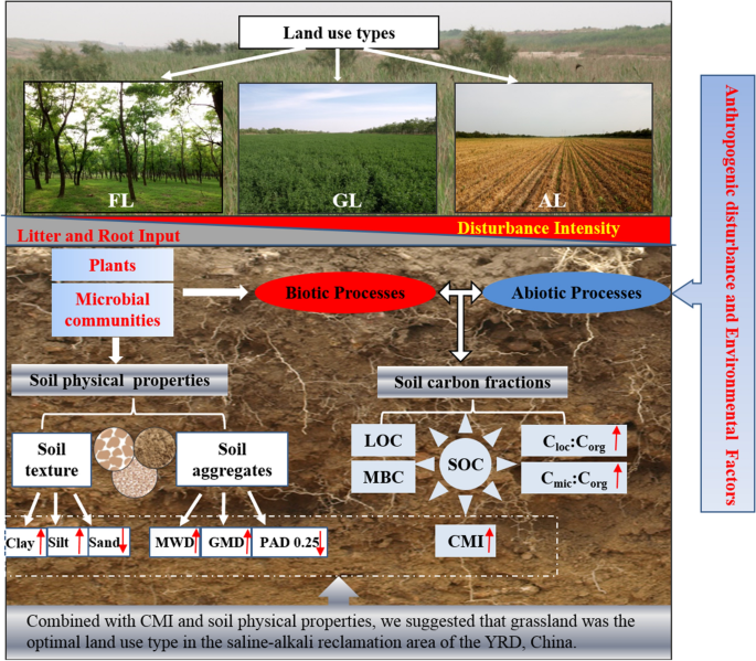 Variation Of Soil Organic Carbon And Physical Properties In Relation To Land Uses In The Yellow River Delta China Scientific Reports Variation Of Soil Organic Carbon And Physical Properties In Relation To Land Uses In The Yellow River Delta China Scientific Reports