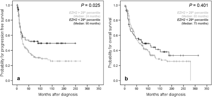 Clinical Impact Of Ezh2 And Its Antagonist Smarca4 In Ovarian Cancer Scientific Reports