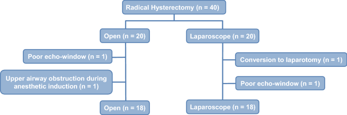 diaphragmatic excursion medical term figure 3