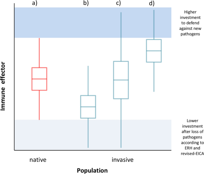 Increased Immune Marker Variance In A Population Of Invasive Birds Scientific Reports