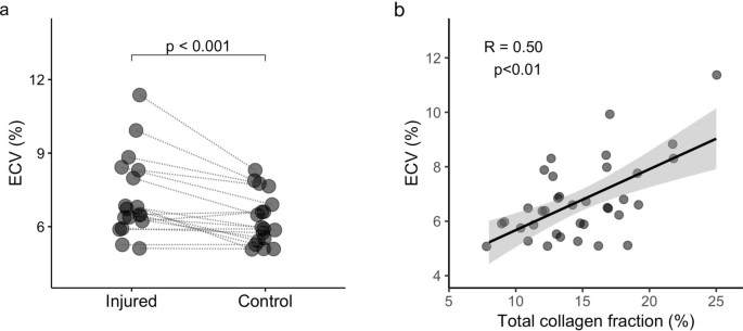 Non Invasive Assessment Of Skeletal Muscle Fibrosis In Mice Using Nuclear Magnetic Resonance Imaging And Ultrasound Shear Wave Elastography Scientific Reports