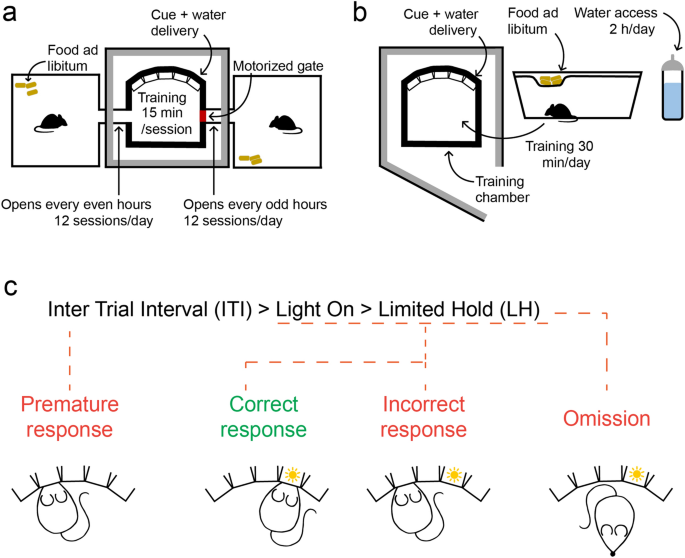 Mouse Accuracy & Reaction Timing practice 