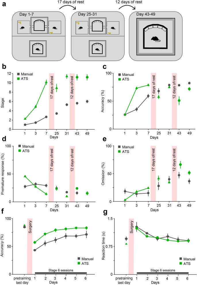 Mouse Accuracy & Reaction Timing practice 