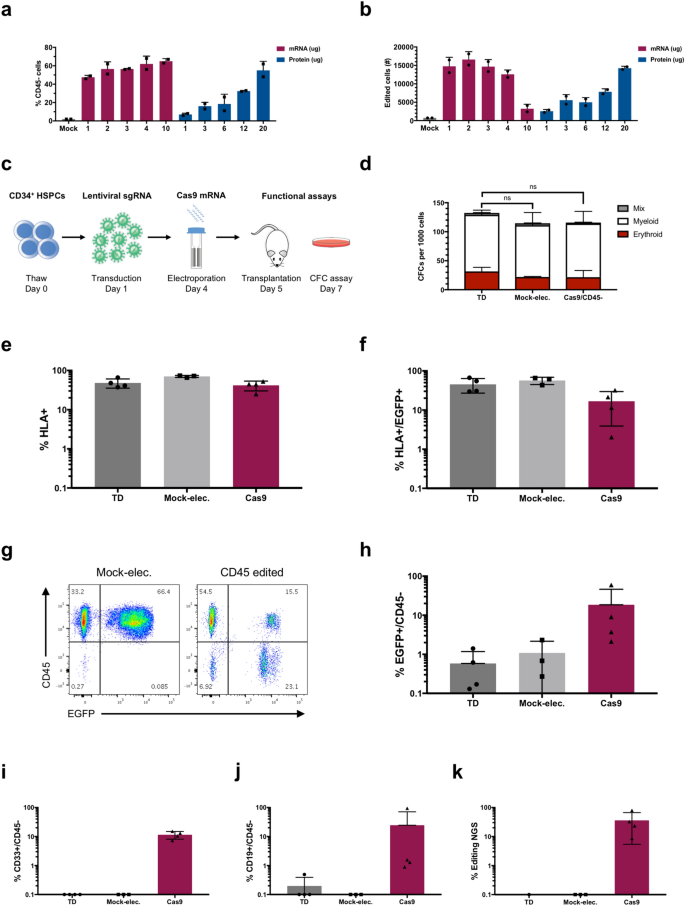 CD34+ HSPC编辑后功能评价 CD34+造血干祖细胞基因编辑后克隆形成和重建能力评价