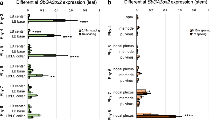 High Planting Density Induces The Expression Of Ga3 Oxidase In Leaves And Ga Mediated Stem Elongation In Bioenergy Sorghum Scientific Reports
