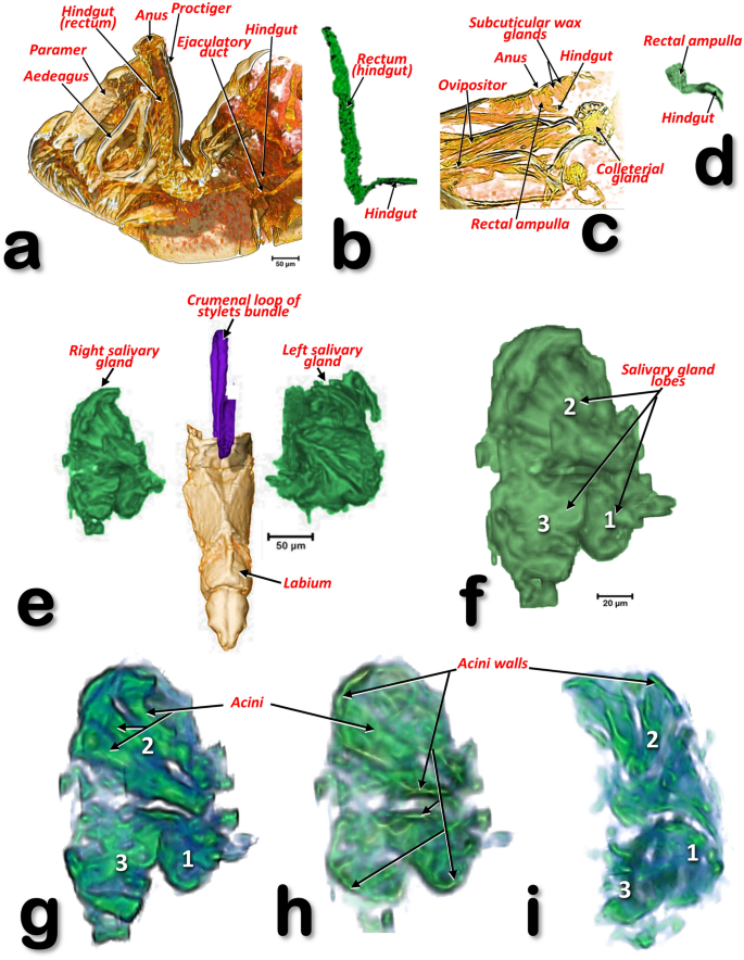 figure 16