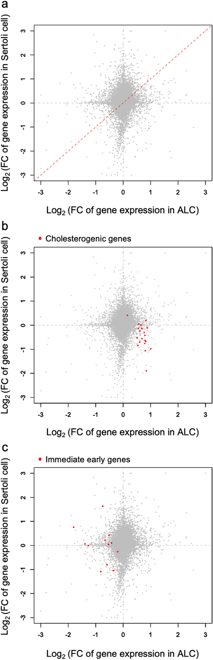 xx cell Gene expression and functional abnormalities in XX/Sry Leydig cells |  Scientific Reports