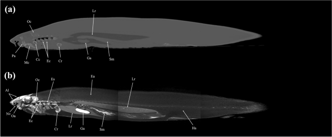 figure 15