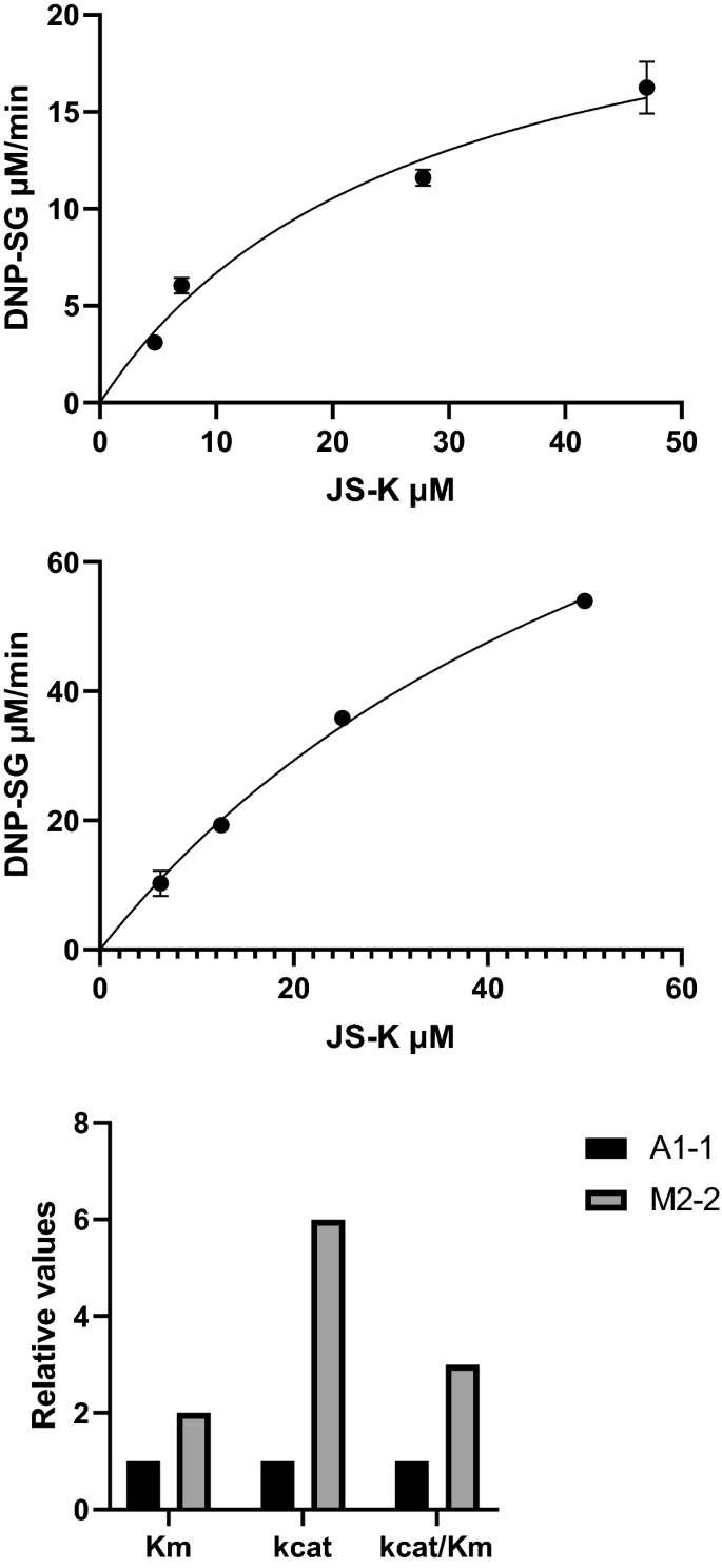 km values human glutathione synthetase Multiomics reveals metabolism as a driver of bimodality during stem cell aging: Cell Metabolism Glutathione-Related Enzymes and Proteins: A
