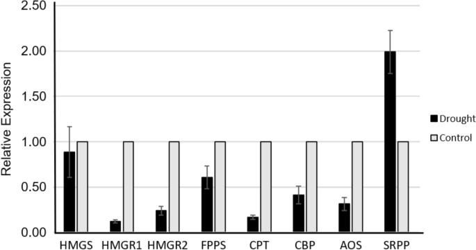 analysis and synthesis of drought figure 6