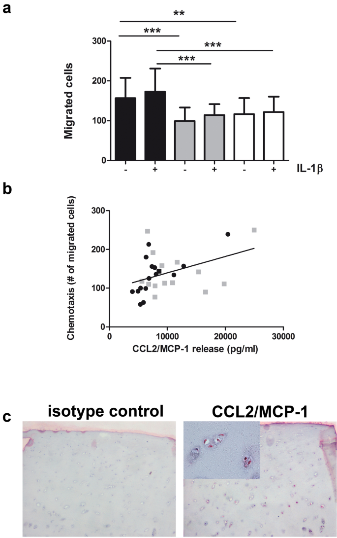 Regulation of MMP-3 expression and secretion by the chemokine eotaxin-1 in  human chondrocytes, Journal of Biomedical Science