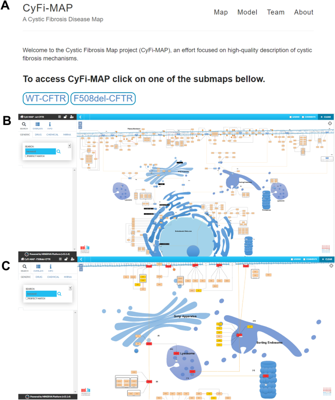 cystic fibrosis and protein synthesis case study figure 2