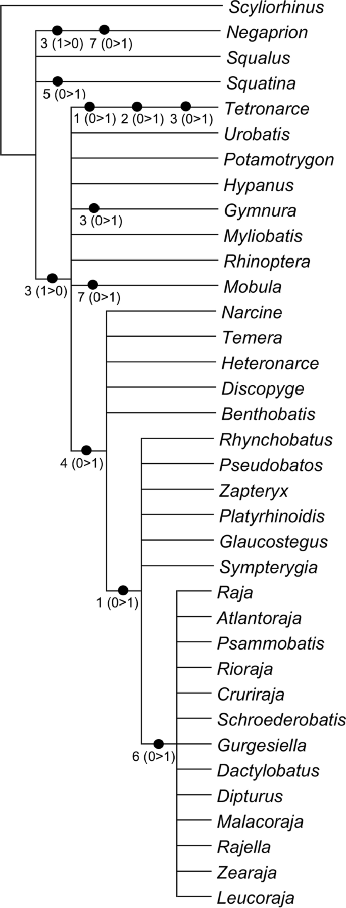 figure 9