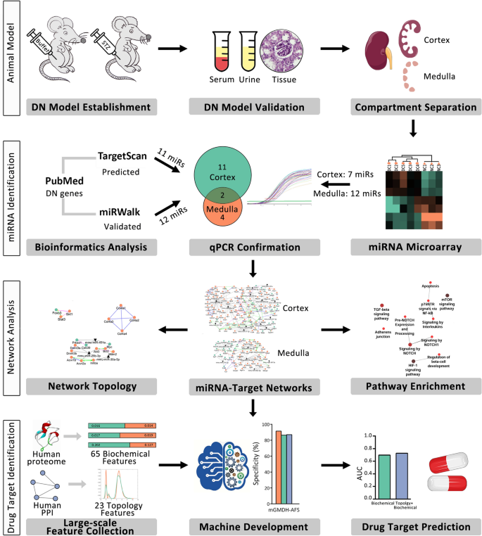 Systems biology and machine learning approaches identify drug 